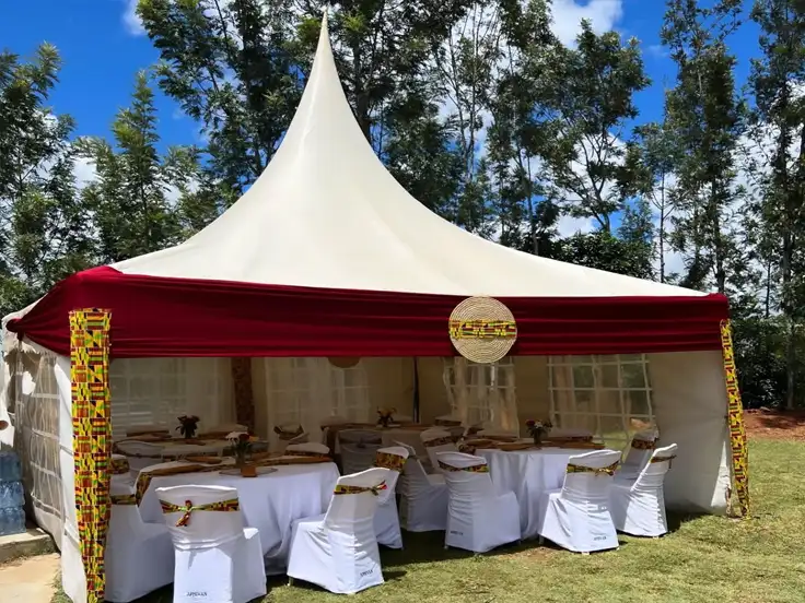 Premium Draped Setup — 30-Seater Nairobi